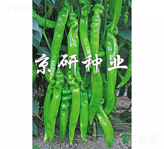 ��(gu��)��901-�����N��-���зN�I(y��)