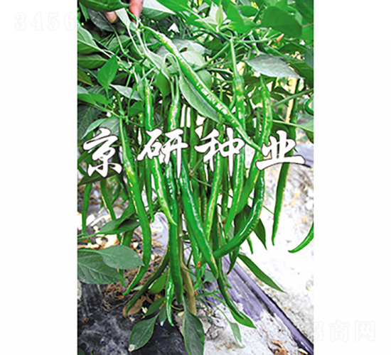 ����413-�����N��-���зN�I(y��)