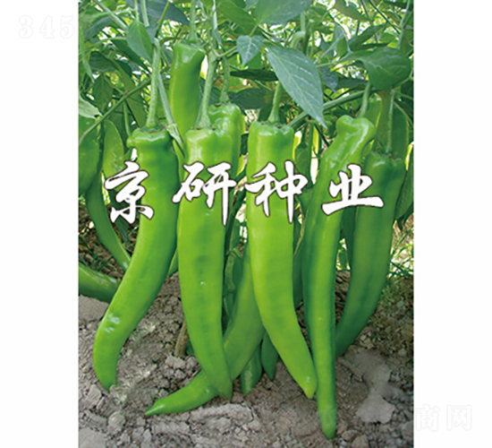 ��(gu��)��208-�����N��-���зN�I(y��)