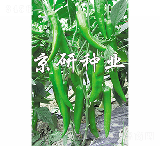 ����1̖-�����N��-���зN�I(y��)