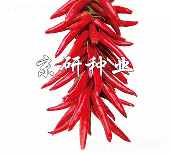 ����2̖-�����N��-���зN�I(y��)