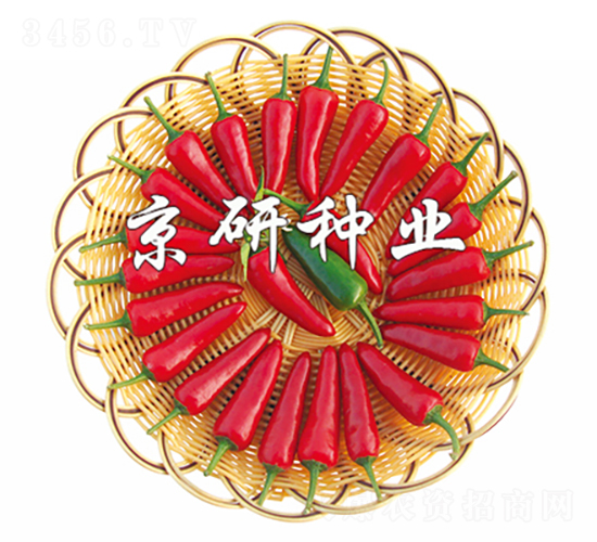 ��(gu��)��106-�����N��-���зN�I(y��)