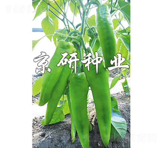 ����910-�����N��-���зN�I(y��)