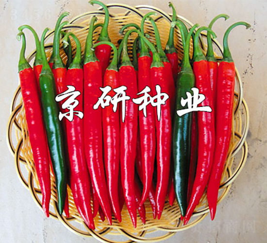 ��(gu��)��418-�����N��-���зN�I(y��)