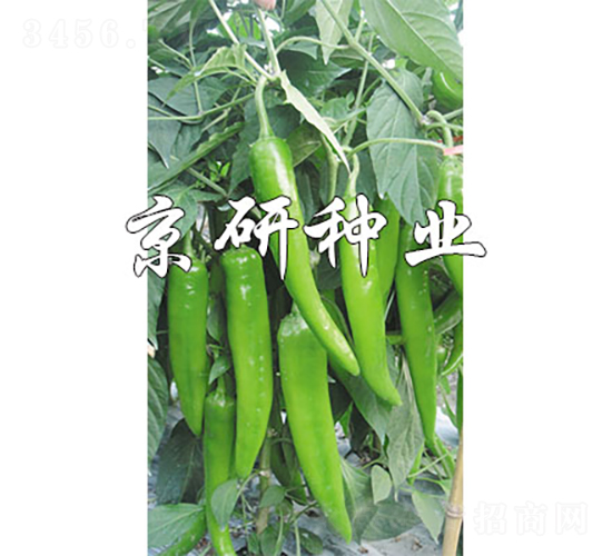 ����218-�����N��-���зN�I(y��)