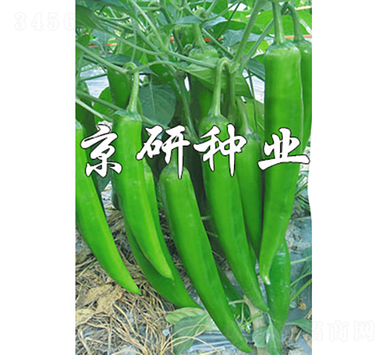 ����326-�����N��-���зN�I(y��)