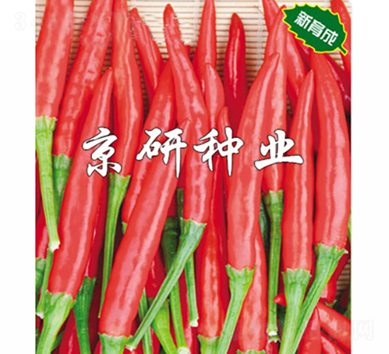 ����-�����N��-���зN�I(y��)