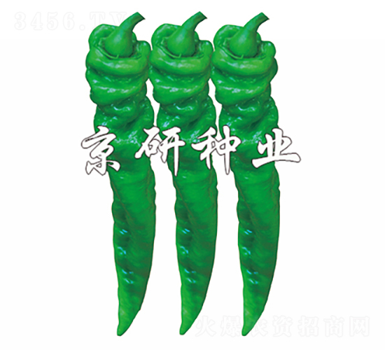 ����79-�����N��-���зN�I(y��)