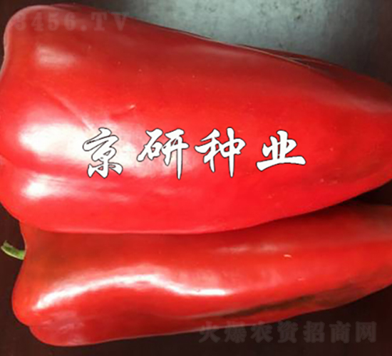 ���T160-�����N��-���зN�I(y��)