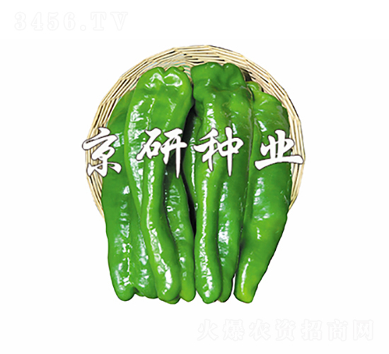 ���J-�����N��-���зN�I(y��)