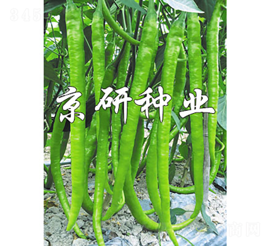 ����147-�����N��-���зN�I(y��)