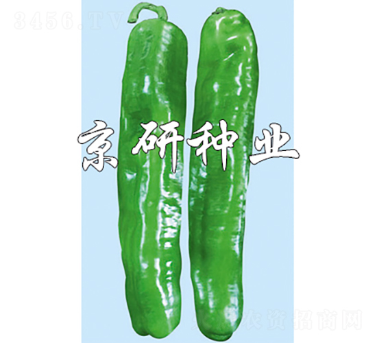 ����3̖-�����N��-���зN�I(y��)