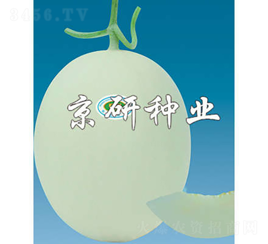 ����3̖-��ϷN��-���зN�I(y��)