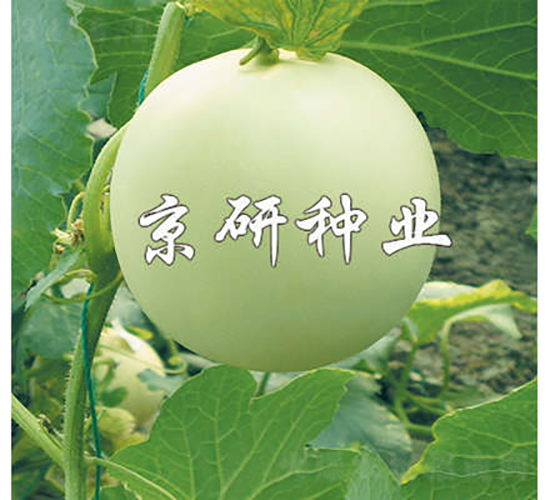 ����1̖(h��o)-��ϷN��-���зN�I(y��)