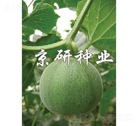 ����G��-��ϷN��-���зN�I(y��)