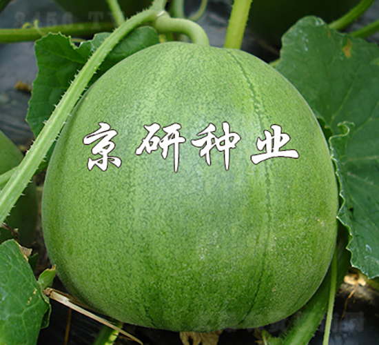 ����G��2̖(h��o)-��ϷN��-���зN�I(y��)