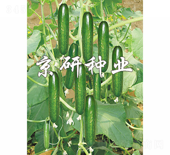 ��������4̖-�S�ϷN��-���зN�I(y��)