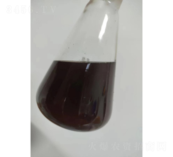 �ػʍu������Һ-��������