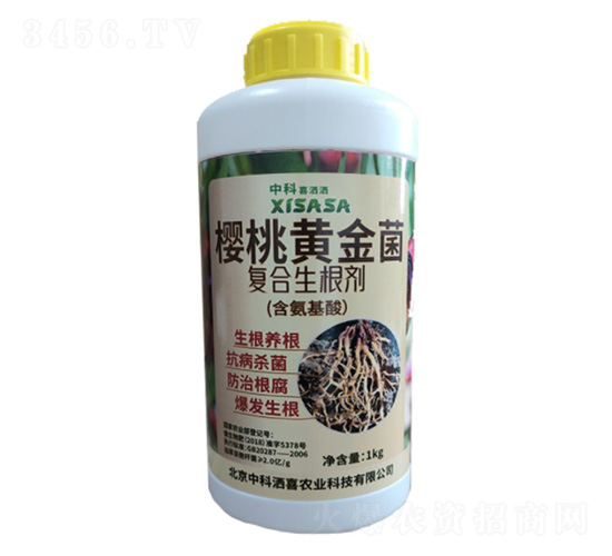 櫻桃專用黃金菌復(fù)合生根劑-中科灑喜