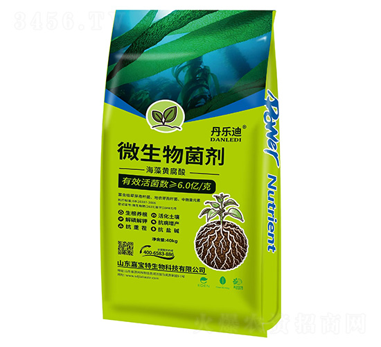 ΢�������-������-�Ό���