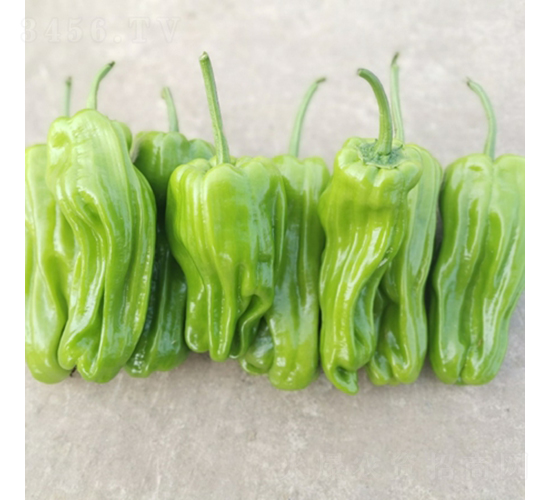 ���ᭇ��̖-�����N��-��������