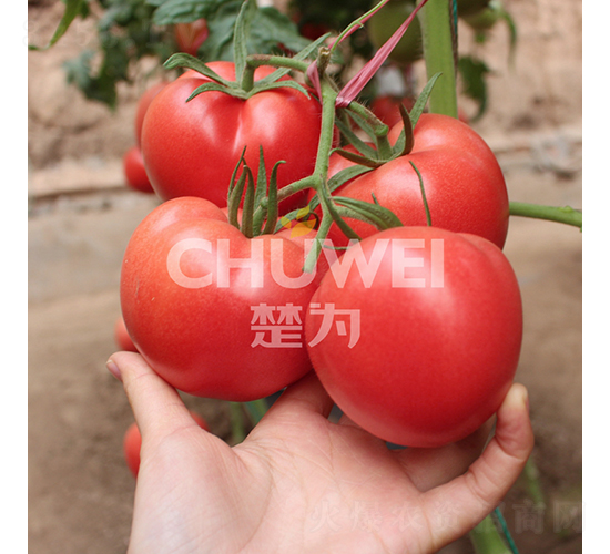 ����8A05-���ѷN��-��������