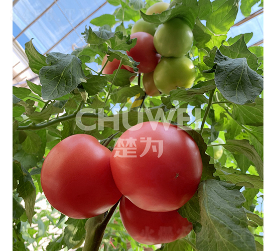 ����8A09-���ѷN��-��������