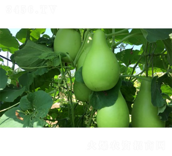 �����A�1̖-�����J�N��-�����N�I(y��)