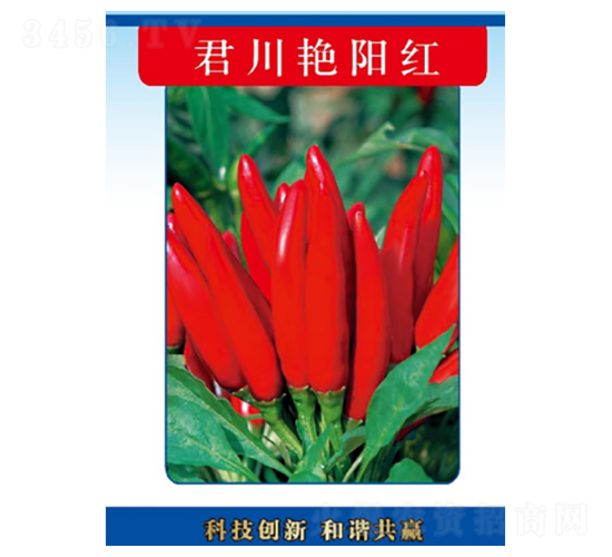 �����Gꖼt-�����N��-�����N�I(y��)