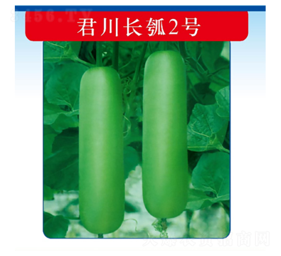 �����L(zh��ng)�2̖(h��o)-�����J�N��-�����N�I(y��)