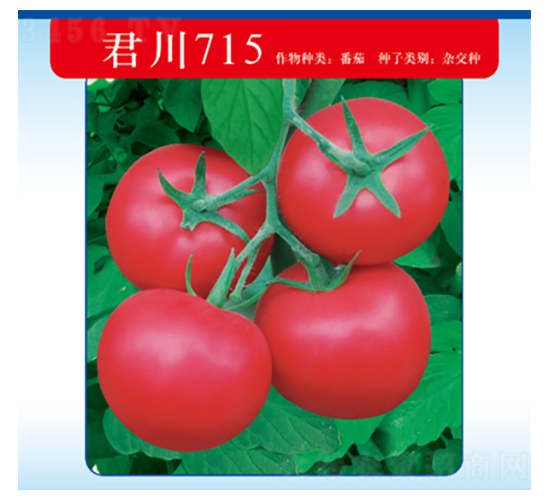 ����715-���ѷN��-�����N�I(y��)