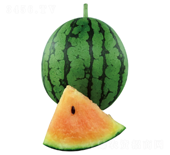 ����С�_(d��)-���ϷN��-�����N�I(y��)