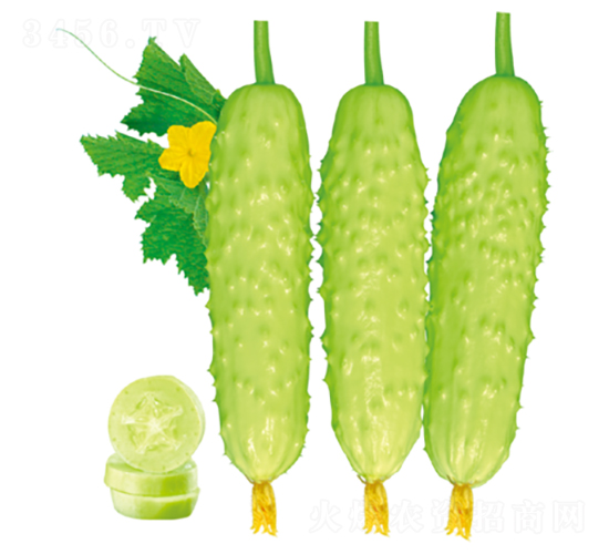 �������-�S�ϷN��-�����N�I(y��)