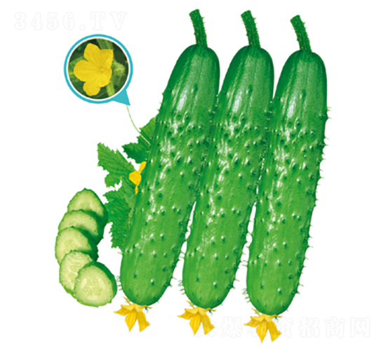 ����(y��u)1̖(h��o)-�S�ϷN��-�����N�I(y��)