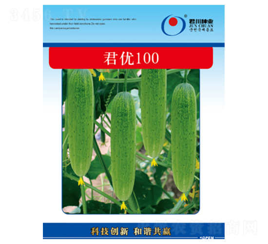 君優(yōu)100-黃瓜種子-君川種業(yè)