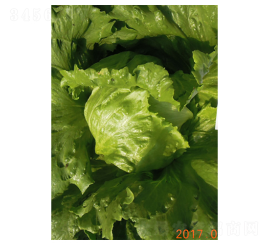 �ʼ�2̖-���˷N��-�����N�I(y��)