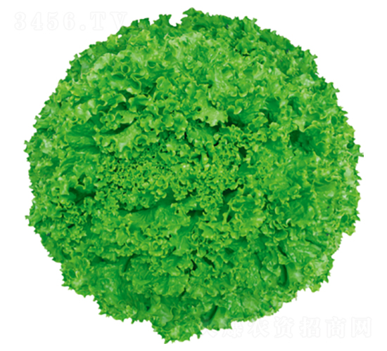 ����1̖(h��o)-���˷N��-�����N�I(y��)