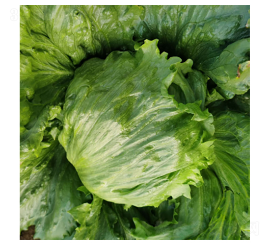 ���������_-���˷N��-�����N�I(y��)