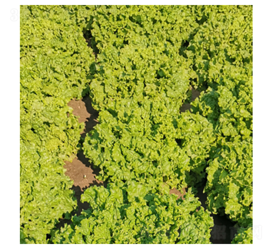 �����m��-���˷N��-�����N�I(y��)