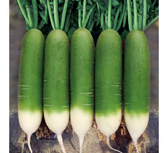 �����G���-�}���N��-�����N�I(y��)