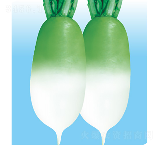 ��������-�}���N��-�����N�I(y��)