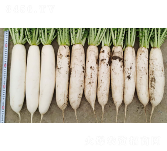 �n�״��-�}���N��-�����N�I(y��)