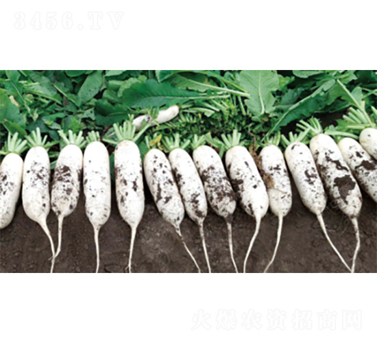 ��������3̖(h��o)-�}���N��-�����N�I(y��)