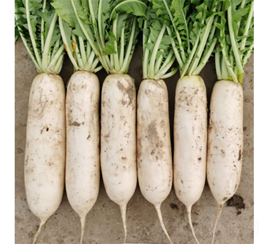 ��������-�}���N��-�����N�I(y��)