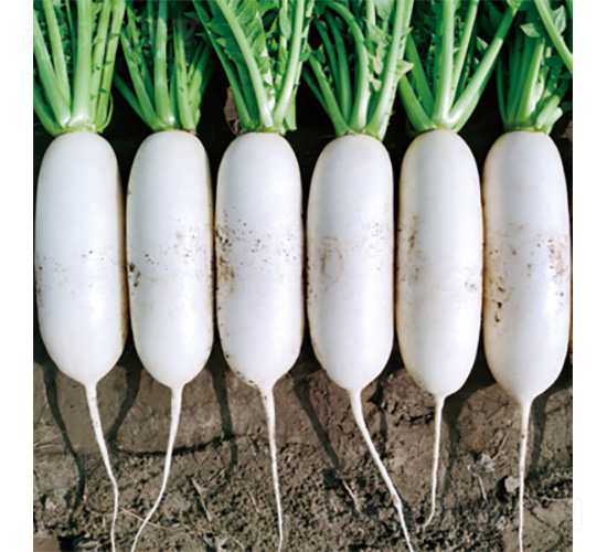 �������-�}���N��-�����N�I(y��)