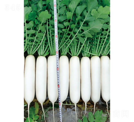 ��������-�}���N��-�����N�I(y��)