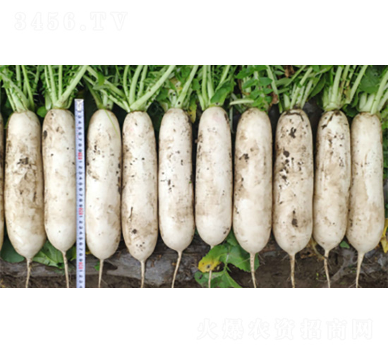 ������-�}���N��-�����N�I(y��)