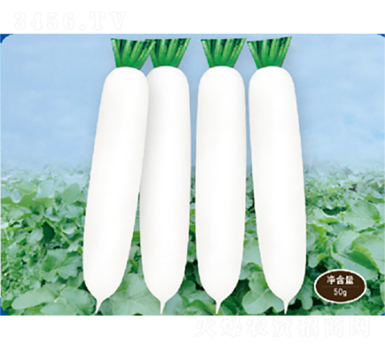 ��������2̖-�}���N��-�����N�I(y��)