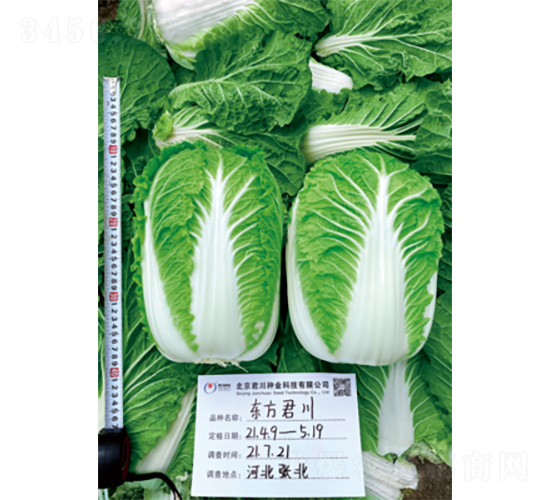 �|������-�ײ˷N��-�����N�I(y��)