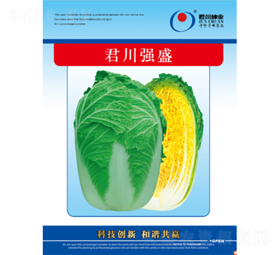 君川強(qiáng)盛-白菜種子-君川種業(yè)